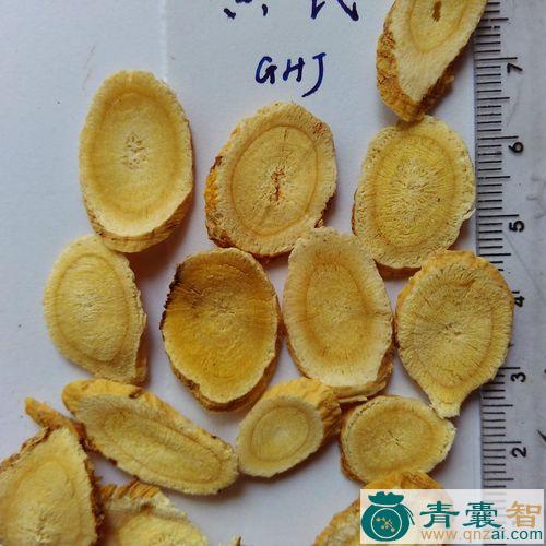 中药材红菊花心图片