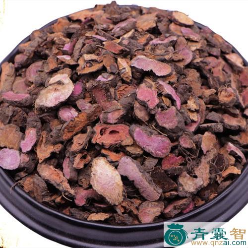 中药材红蝎子七图片
