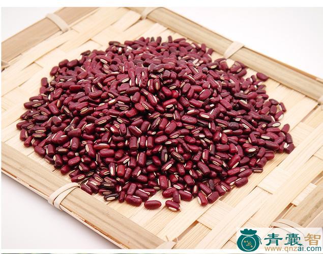 中药材红豆子图片