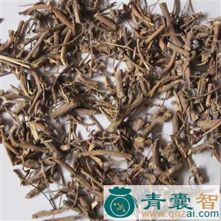 中药材红贯脚图片