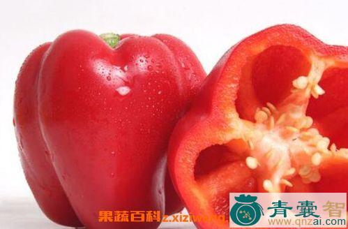 红青椒-青囊智