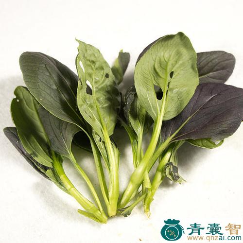 中药材红青菜图片