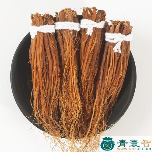 红须须的性味归经以及功效用法-青囊智