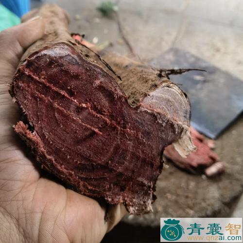 红风藤的性状性味归经以及功效用法-青囊智