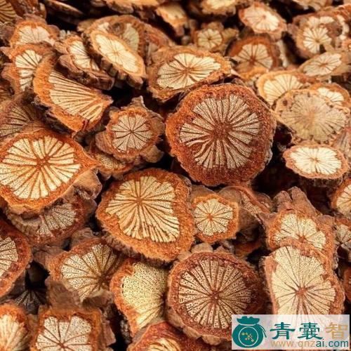 中药材红香藤图片