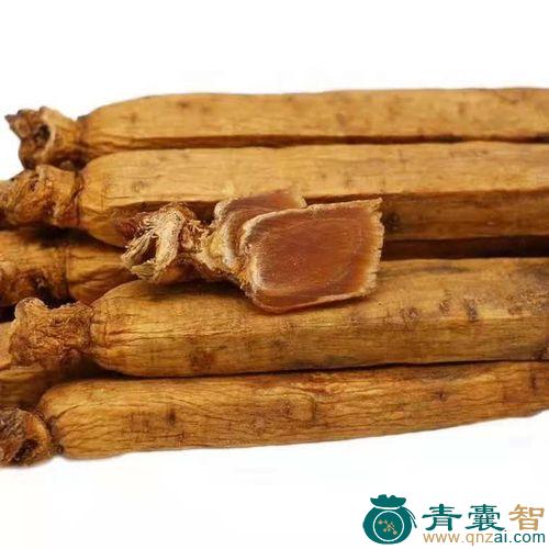 中药材红龙盘柱图片