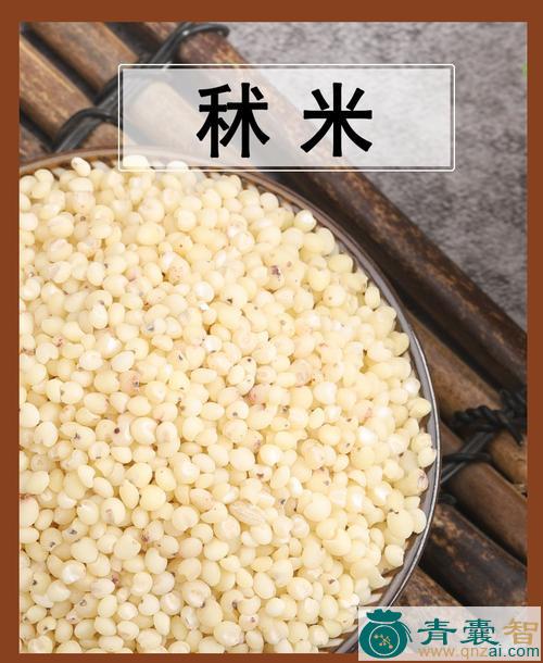 中药材纤粟图片