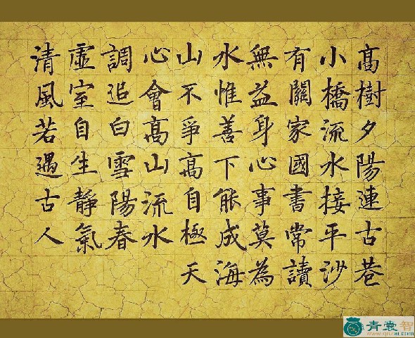中药材纸鹞高树图片