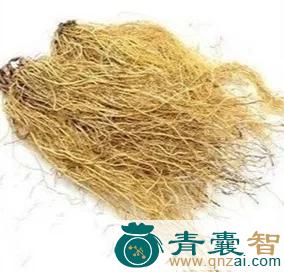细参的性味归经-青囊智