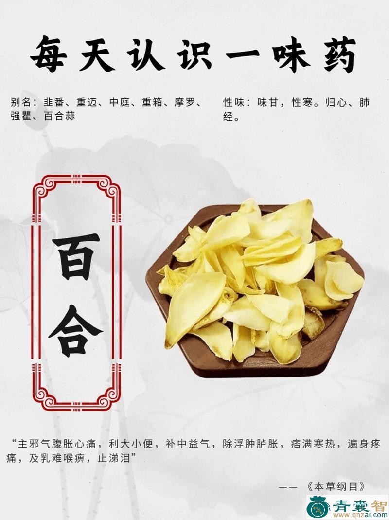 细叶狼鸡的性状性味归经以及功效用法-青囊智
