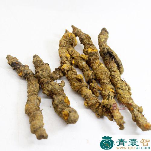 中药材细股黄连图片