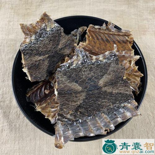 中药材细蛇凼图片