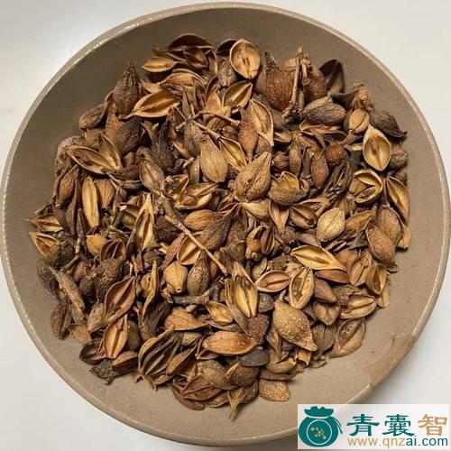 中药材细连翘图片