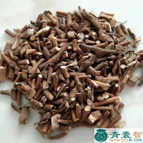 中药材细骨风图片