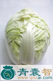 中药材结球白菜图片