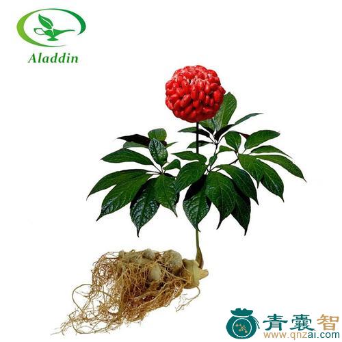 中药材绣球龙图片
