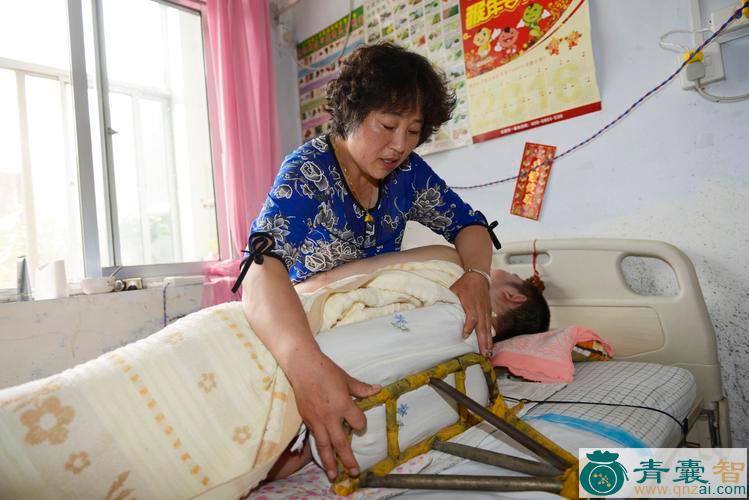 继母怀胎的性味归经以及功效用法-青囊智