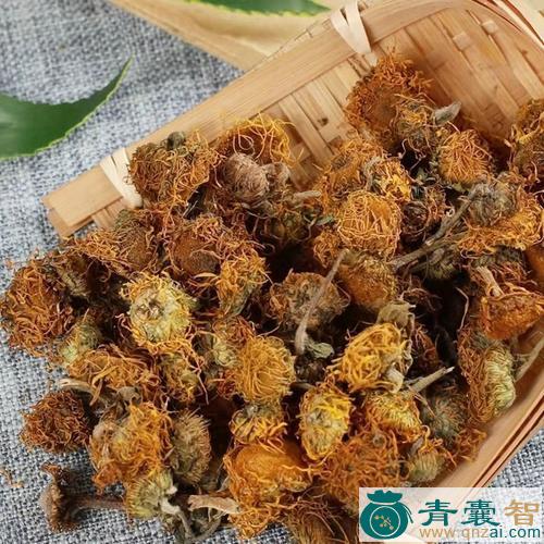 中药材绵毛旋覆花图片