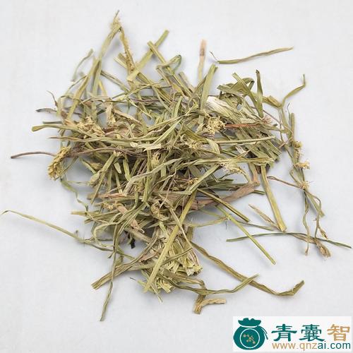 中药材绵毛肺筋草图片