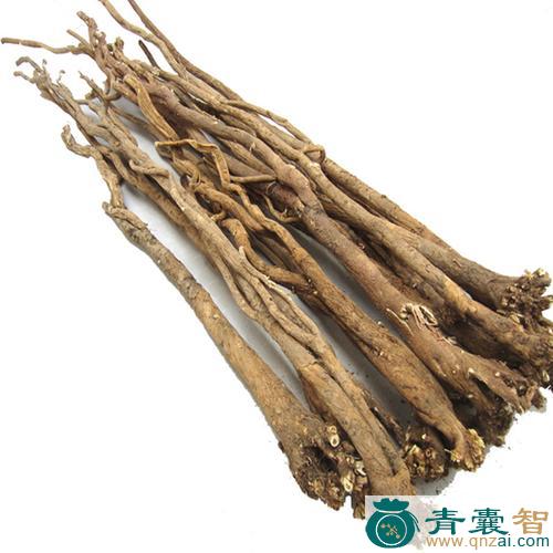 中药材绵黄耆图片