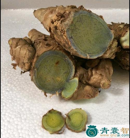 中药材绿姜图片