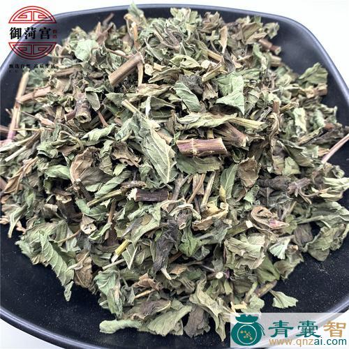中药材绿荷荷图片