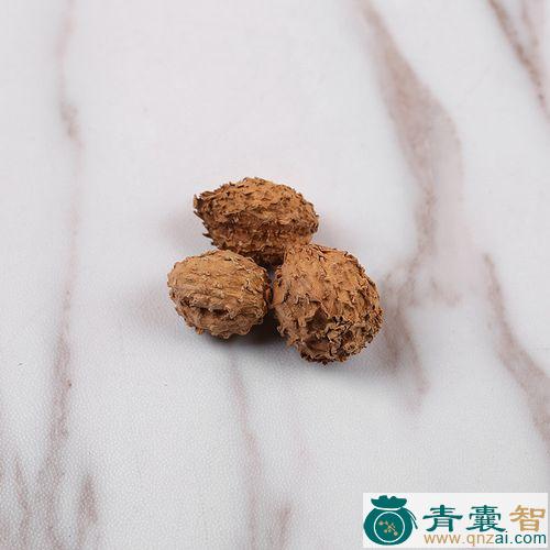 中药材缩砂蜜图片