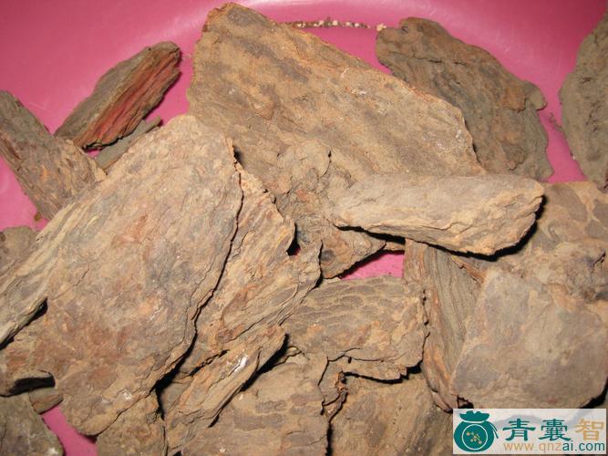 中药材罗汉松皮图片