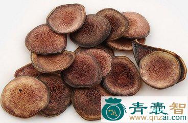 中药材罗鹑图片