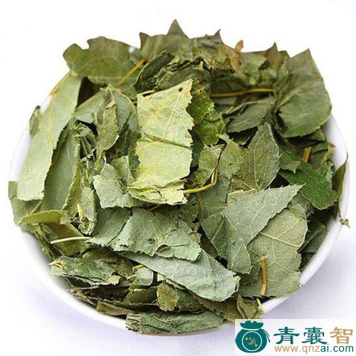 中药材羊冤冤图片