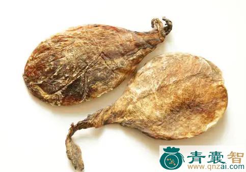 中药材羊胆图片