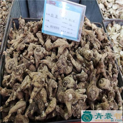 中药材羊膳七图片