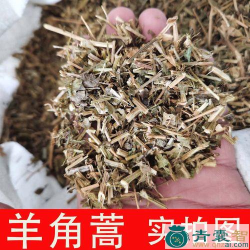 中药材羊蒿爪图片