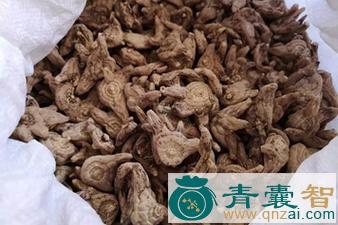 羊角七的性状性味归经以及功效用法和注意事项-青囊智