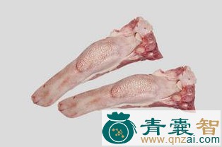中药材羊靥图片
