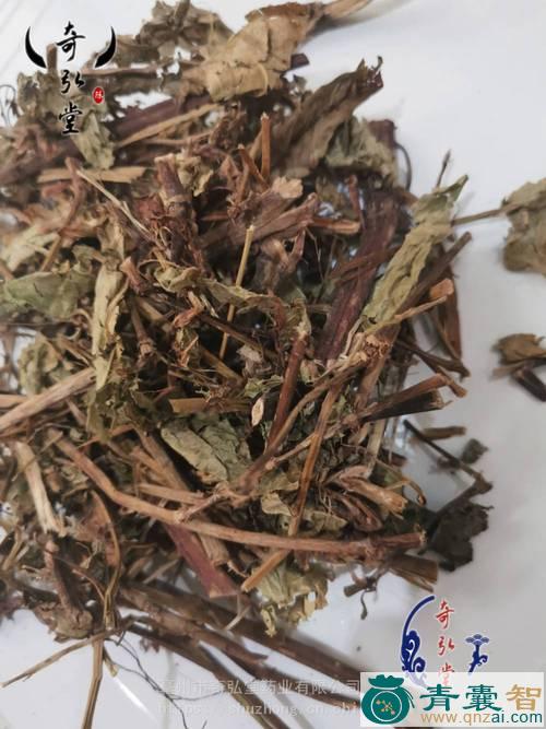 中药材翅地利图片