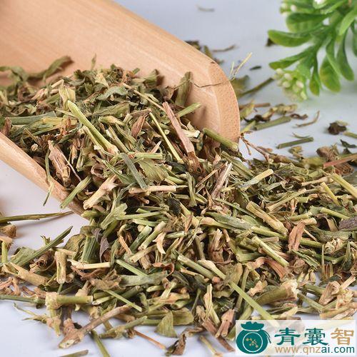 中药材翟图片