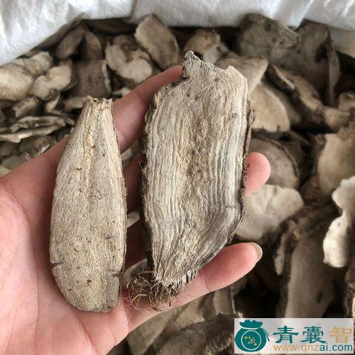 中药材翻手老鼠图片