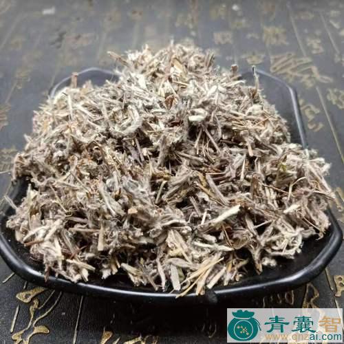 中药材老头艾图片