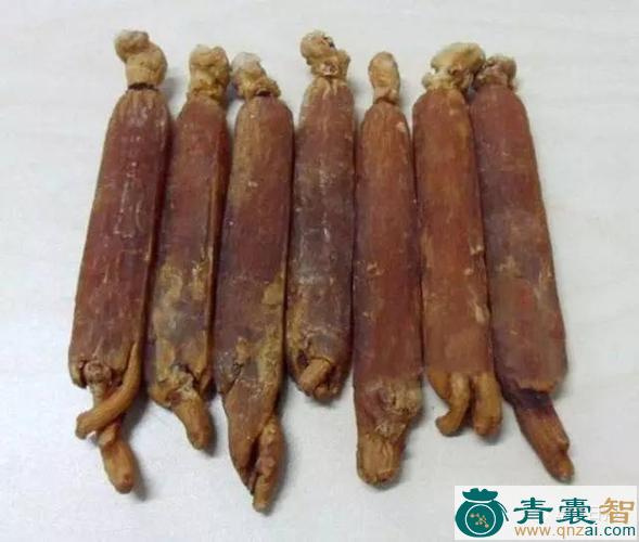 中药材老母鸡咀图片