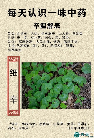 中药材老米饮图片