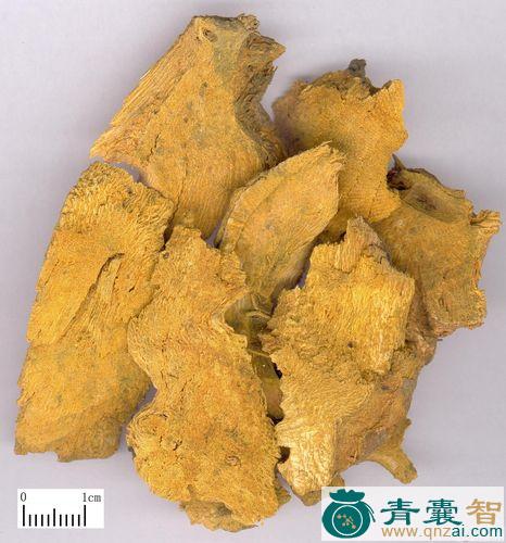 中药材老虎掌图片