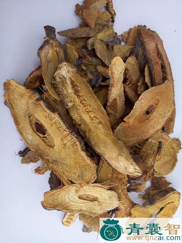 中药材老虎杆图片