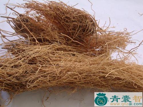 中药材老虎须图片