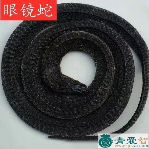 中药材老蛇泡图片