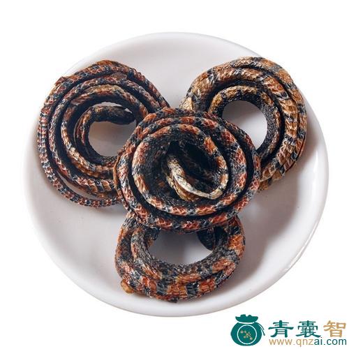 老蛇盘的性状性味归经以及功效用法-青囊智