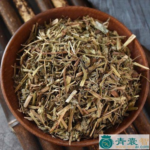 中药材老贯筋图片