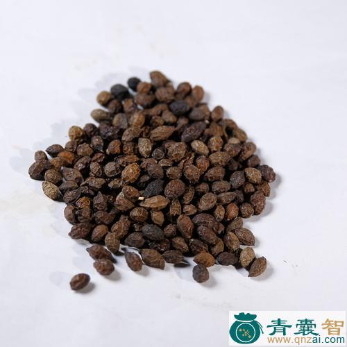 中药材老鸦绵图片