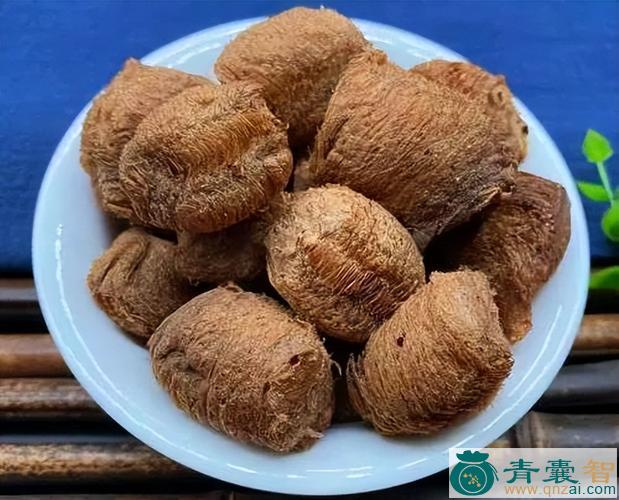 中药材老鸹头图片