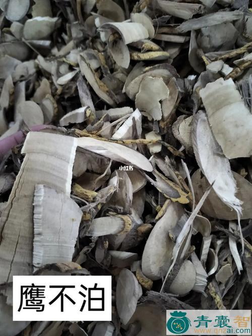 中药材老鹰图片